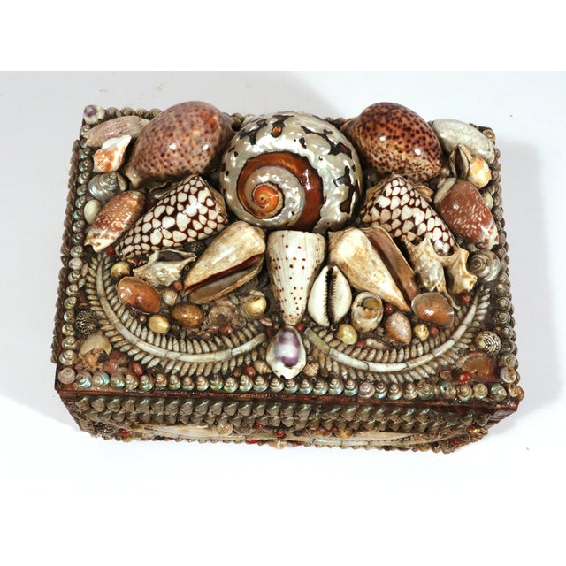 Victorian Shell Encrusted Box With Mirror and Pincushion Interior, 19th Century For Sale - Image 10 of 13