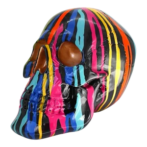 Interior Illusions Plus Graffiti Art Skull
