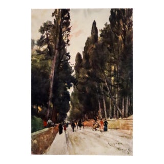 1905 Italian Original Print - Looking Down the Cypress Avenue - From Book Florence & Some Tuscan Cities (1905) For Sale