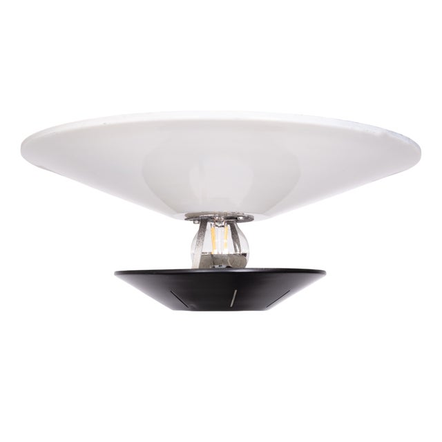 Pendant Lamp by Louis Kalff for Philips, Holland, 1957 For Sale