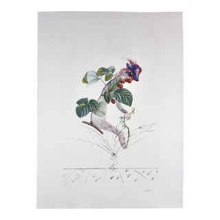 1960s Dali FlorDali/Les Fruits Raspberry Hand Signed Numbered Etching Surreal Art For Sale