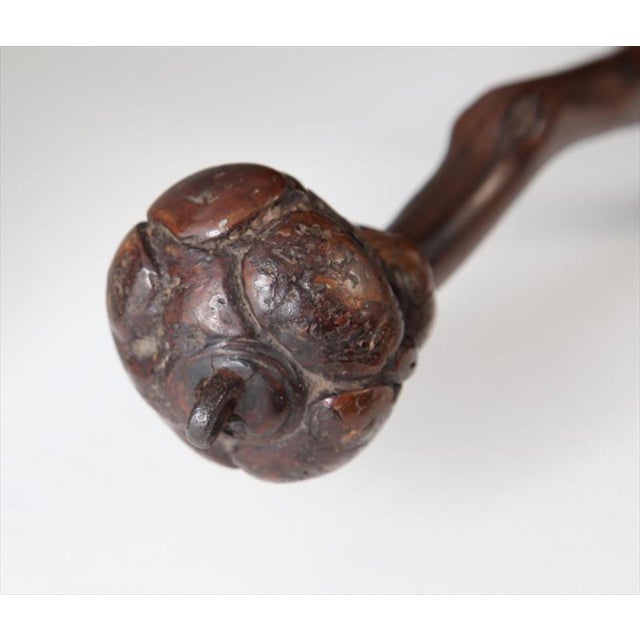 Chinese Rootwood Fly Whisk, 19th Century For Sale In San Antonio - Image 6 of 8