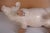 Vintage Large Butcher's Pig Shop Display, Former Czechoslovakia, 1980s For Sale - Image 6 of 12