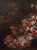 Francesco Lavagna, Still Life, 1720, Oil on Canvas, Framed For Sale - Image 7 of 13