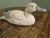 Brutalist French Brutalist Duck, 1960s For Sale - Image 3 of 8