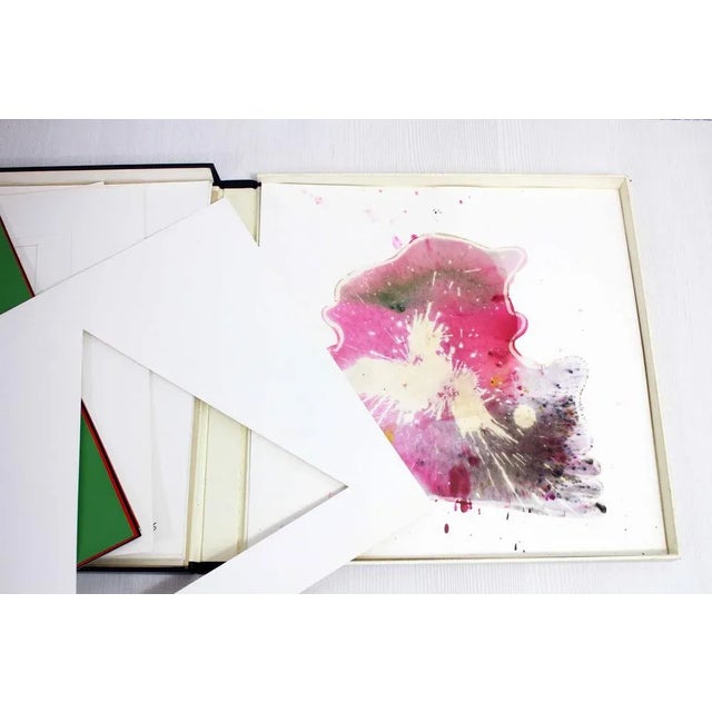 Green Die Schöpfung Art Box by Niklaus Knöll, 1966, Set of 14 For Sale - Image 8 of 15