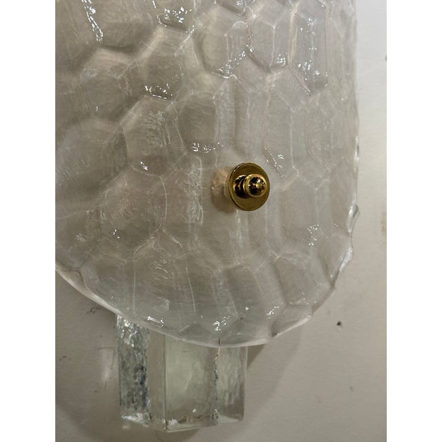Pair of Murano Glass Turtle Shell Sconces For Sale - Image 4 of 6