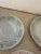 Mid-Century Modern 1970s Collection of Floral Plates With Silver Lining- Set of 11 For Sale - Image 3 of 6