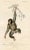 Illustration 1849, Chimpanzee Print, Antique French Hand-Colored Lithograph For Sale - Image 3 of 3