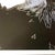 1990s After Andy Warhol "Bald Eagle" Lithograph For Sale - Image 10 of 11