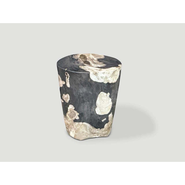 Contemporary Andrianna Shamaris Modern Organic Petrified Wood Side Table For Sale - Image 3 of 5