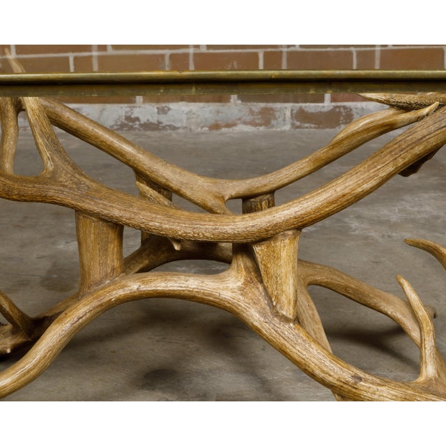A Midcentury American coffee table with glass top and antlers base. This captivating Midcentury American coffee table...