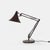 Brown Desk Lamp with Adjustable Arm and Tulip-Shaped Shade from Hala, 1970s For Sale - Image 11 of 12