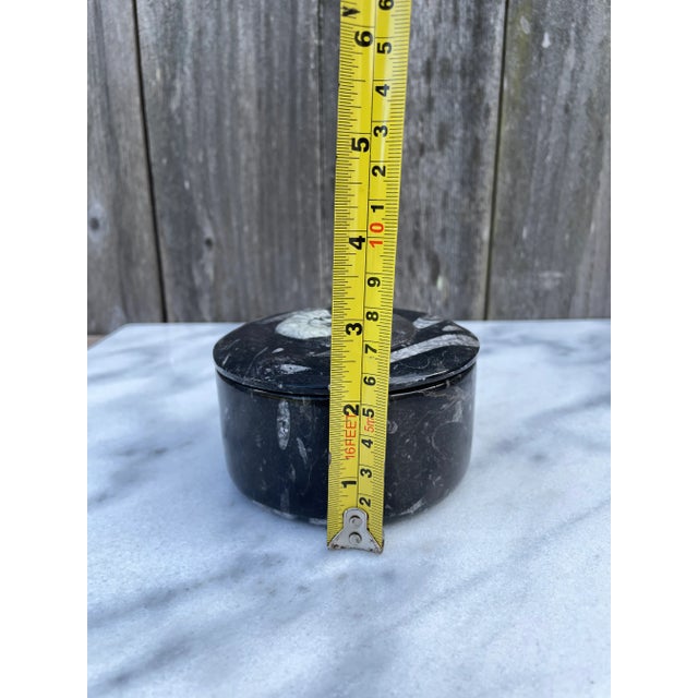 Ammonite and Orthocerus Fossil Trinket Box For Sale In Seattle - Image 6 of 6
