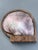 1950s 1950s Alexander Noll Carved Wood & Mother of Pearl Lidded Cigarette Box For Sale - Image 5 of 13