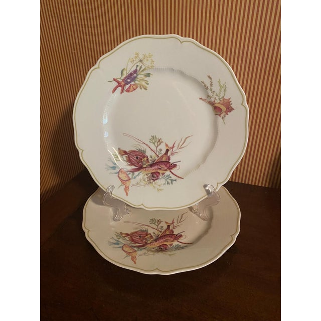Mid 20th Century Set of 12 Havilland- Limoges Dinner Plates, Six Fish and Crustacean Designs For Sale - Image 12 of 12