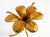 Mid-Century Florentine Gilded Side Table with Large Leaves and Glass Top, 1960s For Sale - Image 13 of 18