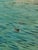 J. Arlotta, Venice, Oil on Canvas, Framed For Sale - Image 7 of 8
