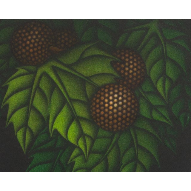 1980 “Honda Berry” Limited Edition Mezzotint by Kazuhisa Honda For Sale - Image 4 of 7