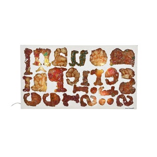 Henri Fernandez, Composition of Letters, 1970s, Fractal Resin Wall Decoration For Sale