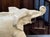 Large Art Deco Ceramic Dolly Elephant from Le Jan, 1930s For Sale - Image 6 of 13