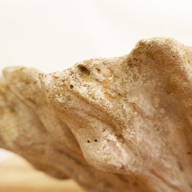 Antique Concrete Shell Bird Bath For Sale - Image 4 of 14