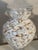 Vintage Large Glass Jars With Sea Shells For Sale - Image 10 of 12