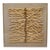 Willow Wall Art in Acrylic Box For Sale