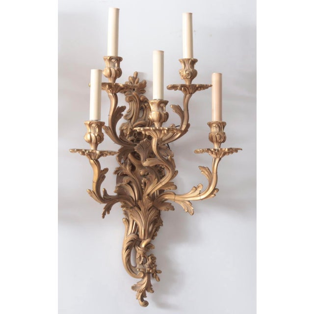 Lights Pair of French Louis XV Style Five-Light Gilt Brass Sconces For Sale - Image 7 of 9