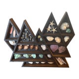 Seashell Display in Geometric Wall Curio For Sale