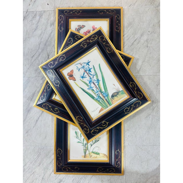 This is a coordinated set of four framed botanical prints with a classic, vintage appeal —reproductions of 18th- or 19th-...