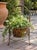 A charming vintage decorative metal garden planter basket distinguished by its sculptural silhouette, woven lattice...