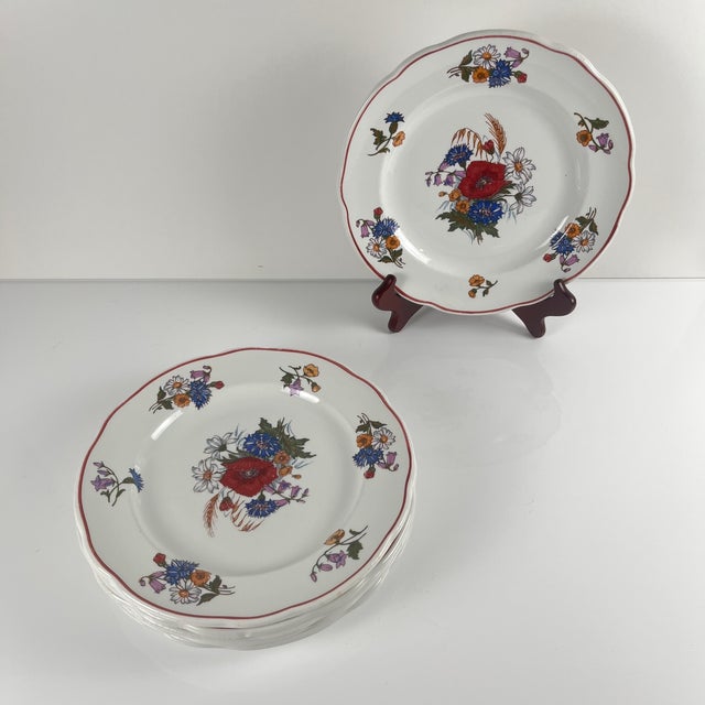 Agreste Dinner Plates from Sarreguemines, 1980s, Set of 6 For Sale - Image 6 of 11