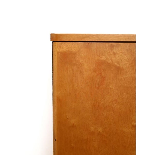 Vintage Scandinavian Birch Cabinet, 1950s For Sale - Image 9 of 11