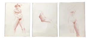 Gallery Wall Collection- 3 Vintage 1970s Female Nude Sepia Drawings - Set of 3