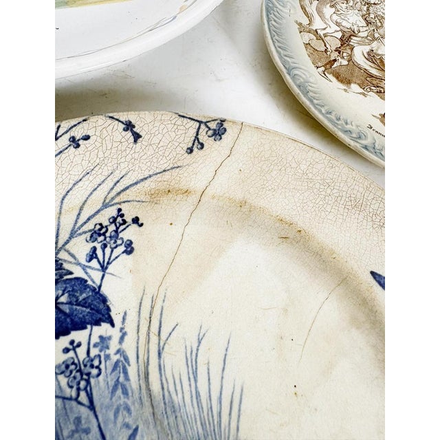 Vintage Plates with Various Illustrations, 1950, Set of 4 For Sale - Image 6 of 16