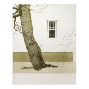 Tessa Beaver, New England Locust Tree, Circa 1980