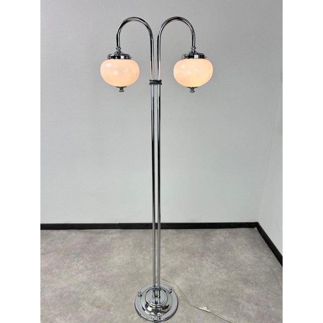 Mid-Century Modern Floor Lamp, 1950s For Sale - Image 3 of 10