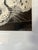 Illustration Original Black and White Ink Snow Leopard Drawing - Artist Signed For Sale - Image 3 of 5