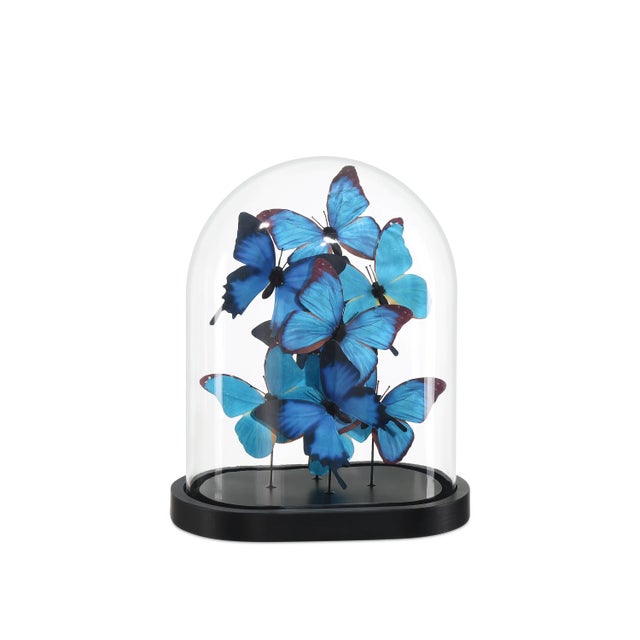 Currey & Company Rue de Bac Medium Butterflies For Sale