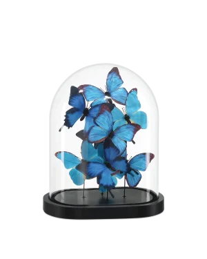 Currey & Company Rue de Bac Medium Butterflies