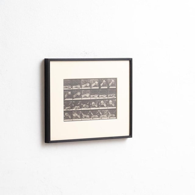 Eadweard Muybridge, Black and White Hand with Ball Movement, 1982, Photograph, Framed For Sale - Image 4 of 14