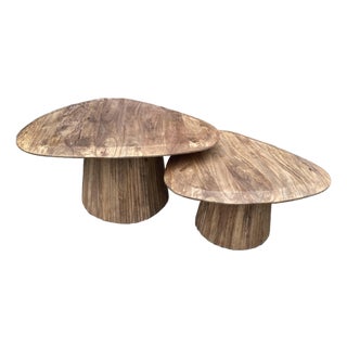 Contemporary Mango Wood Coffee Tables For Sale