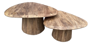 Contemporary Mango Wood Coffee Tables