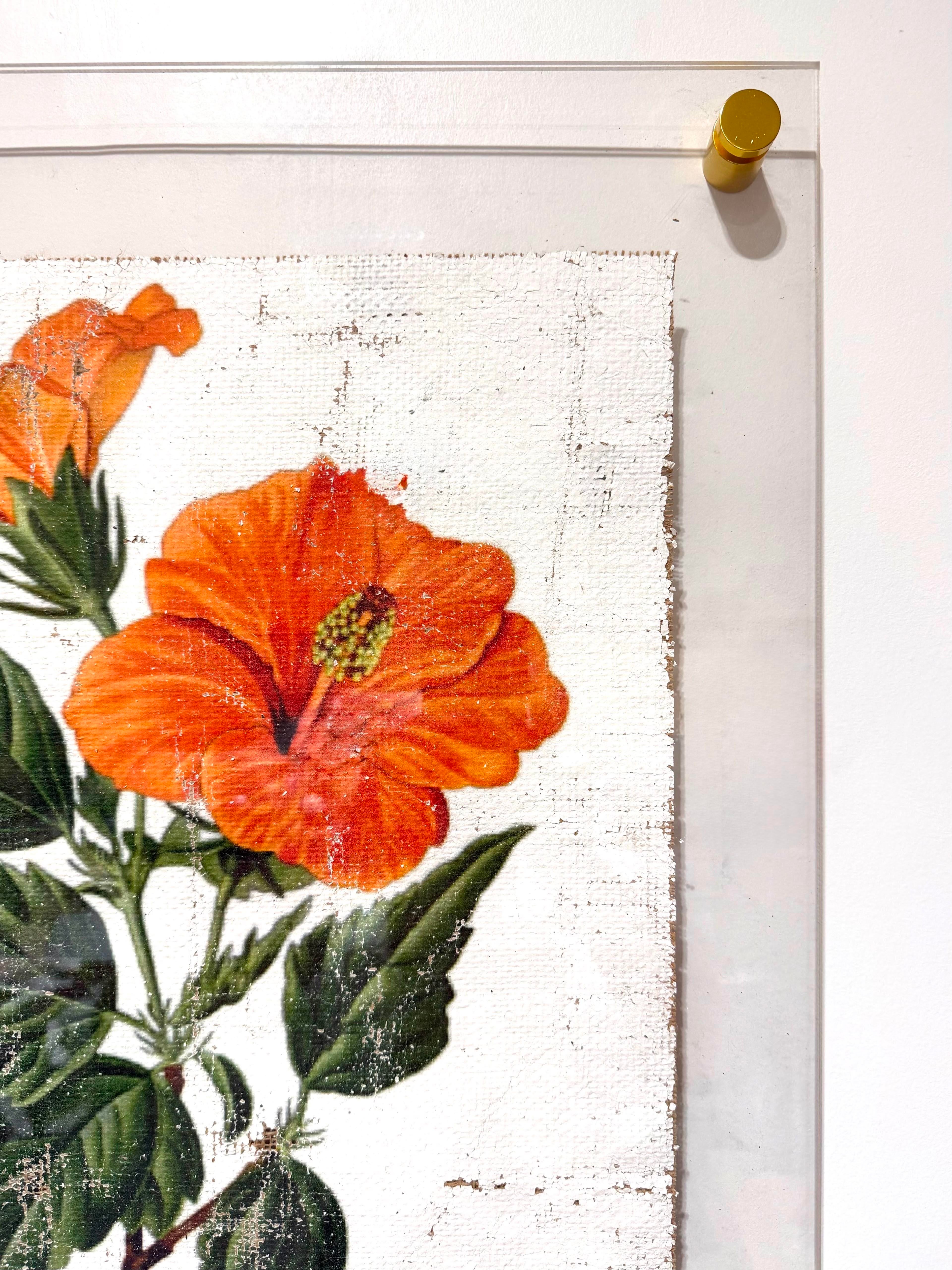 Orange Tropical Hibiscus - Hand Textured Orange Flower Art | Chairish