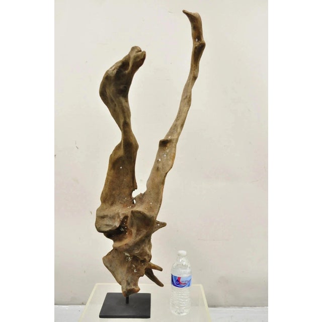 Vintage Abstract Sculpted Wood Sculptural Free Form Table Sculpture. Item features solid wood natural formation, steel...