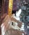 From the living estate of Arizona based brutalist sculpture artist John Gleason, capturing a moment of whimsical charm and...