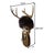 The Vintage Southwestern Plaster Shaman Mask with Real Deer Antlers and Fur is a unique and eye-catching wall hanging that...