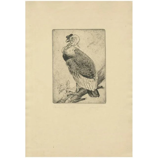 The Andean Condor, 1880, Etching For Sale - Image 10 of 10