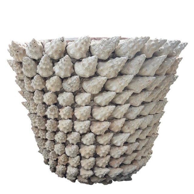 Monumental Italian Coquillage Shell-Encrusted Terracotta Planter, Mid-20th Century For Sale - Image 13 of 14